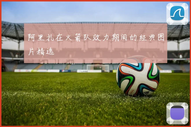 阿里扎在火箭队效力期间的经典图片精选