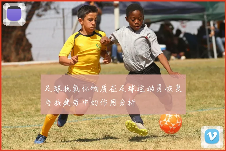 足球抗氧化物质在足球运动员恢复与抗疲劳中的作用分析